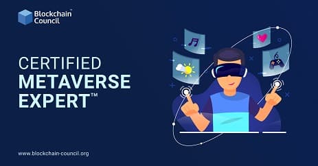 Metaverse Expert