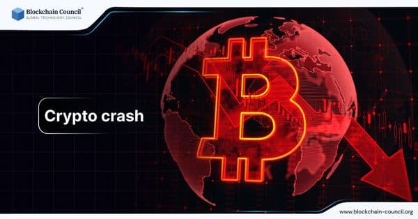 Crypto Crash