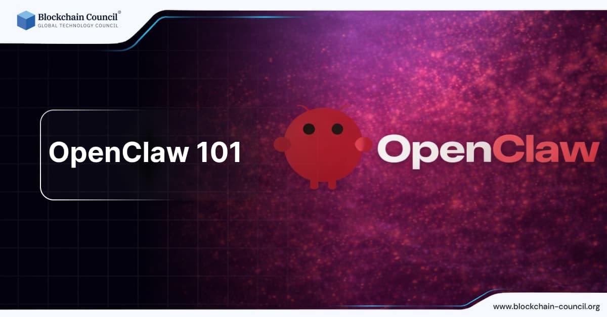 OpenClaw 101