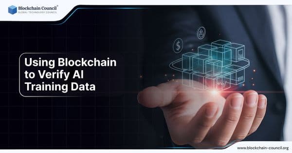 Using Blockchain to Verify AI Training Data