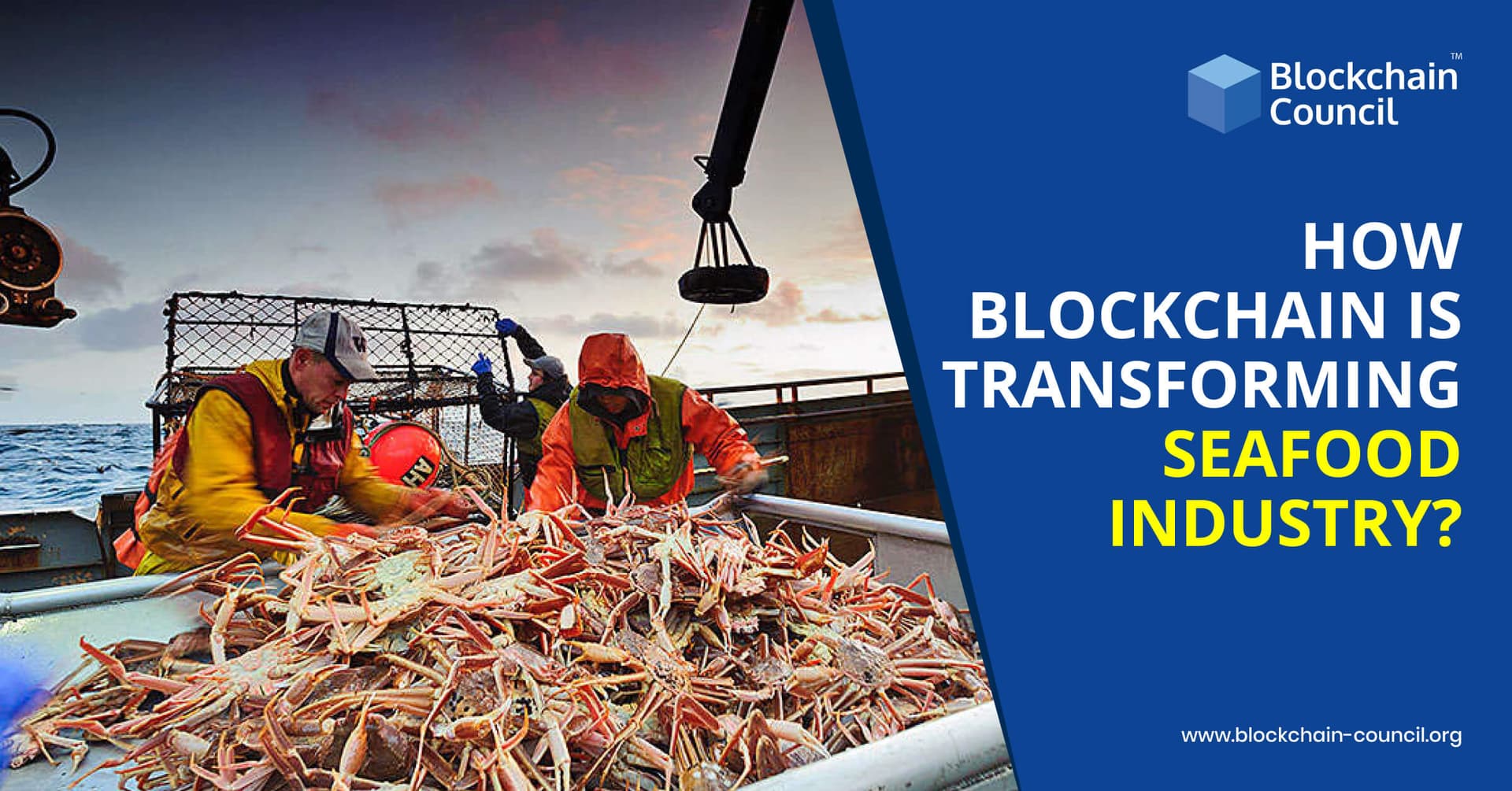 Blockchain Technology