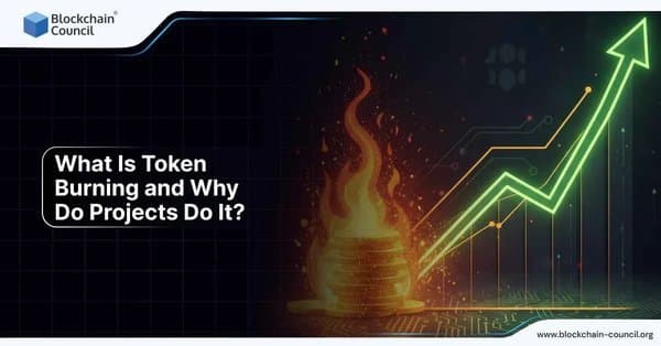 Burning stack of gold coins with a glowing upward arrow, symbolizing token burning practices to increase crypto value.