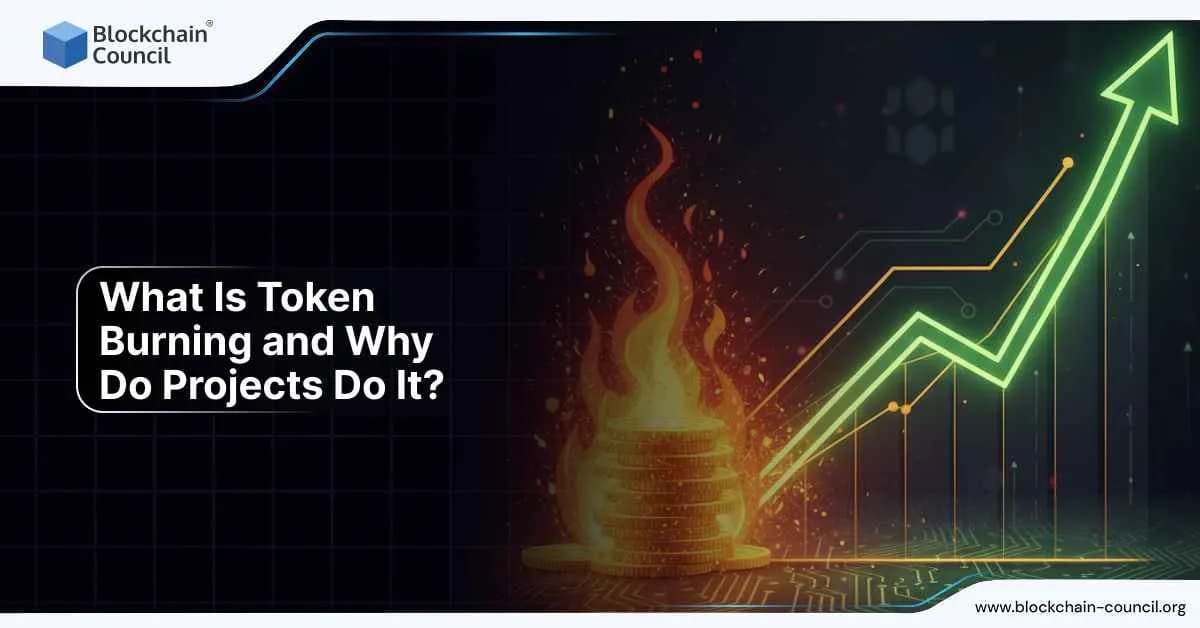 Burning stack of gold coins with a glowing upward arrow, symbolizing token burning practices to increase crypto value.