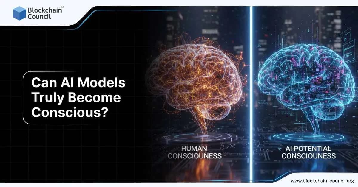 A split-screen image comparing human and AI consciousness. The left side shows a glowing orange human brain labeled “Human Consciousness,” while the right side shows a digital blue brain labeled “AI Potential Consciousness.”