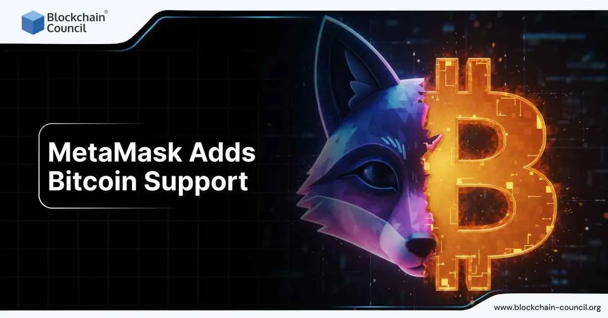 MetaMask Adds Bitcoin Support