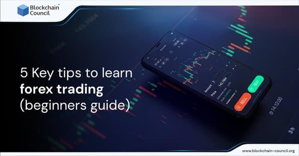 5 Key tips to learn forex trading (beginners guide)