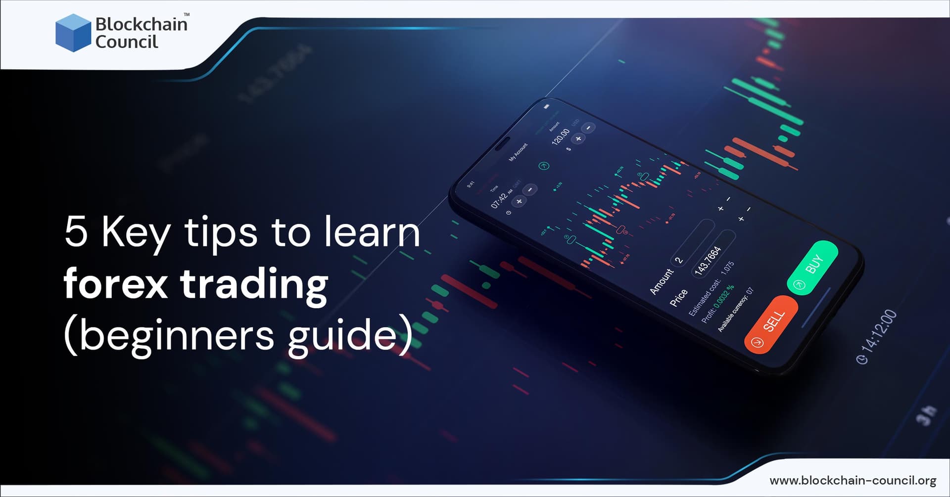 5 Key tips to learn forex trading (beginners guide)