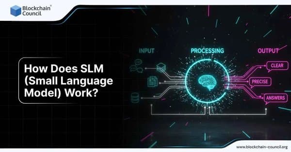 Diagram showing input, processing with a glowing brain, and output labeled clear, precise, answers, illustrating how Small Language Models work.