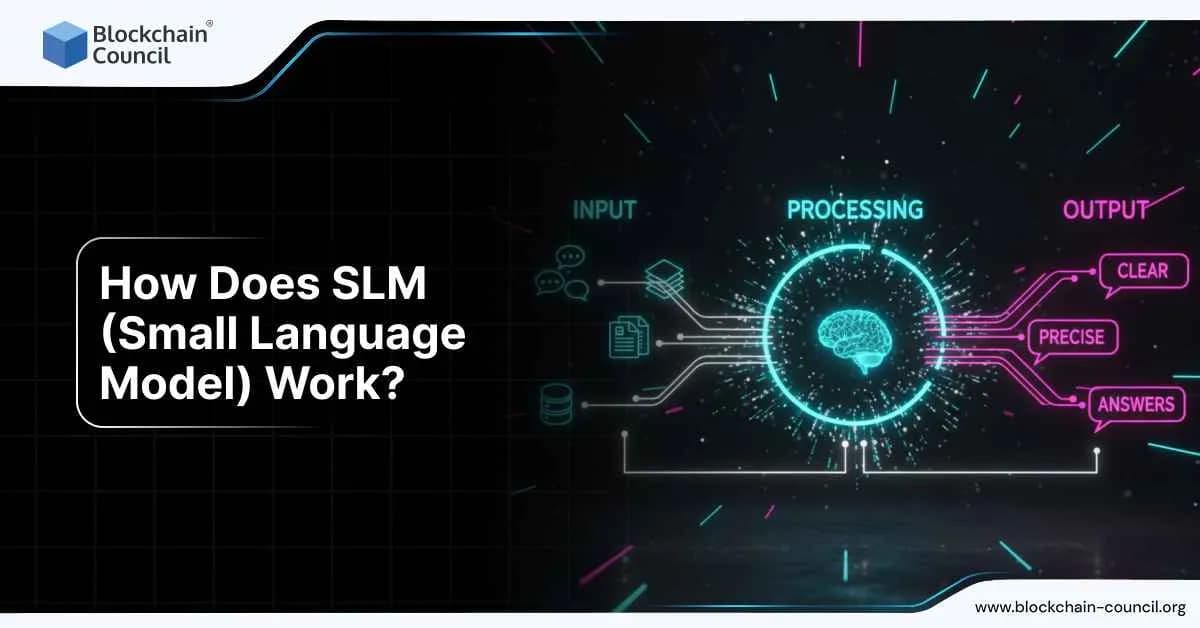 Diagram showing input, processing with a glowing brain, and output labeled clear, precise, answers, illustrating how Small Language Models work.