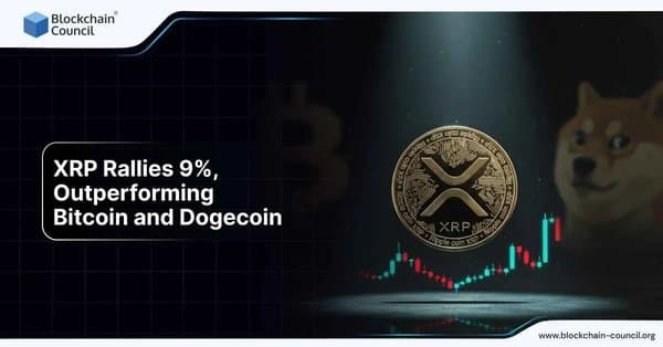 XRP Rallies 9%, Outperforming Bitcoin and Dogecoin