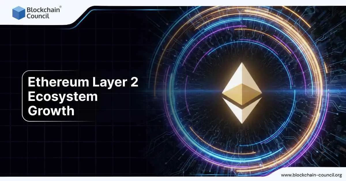 Ethereum Layer 2 Ecosystem Growth