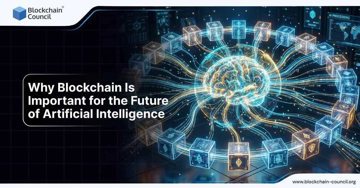 Why Blockchain Is Important for the Future of Artificial Intelligence