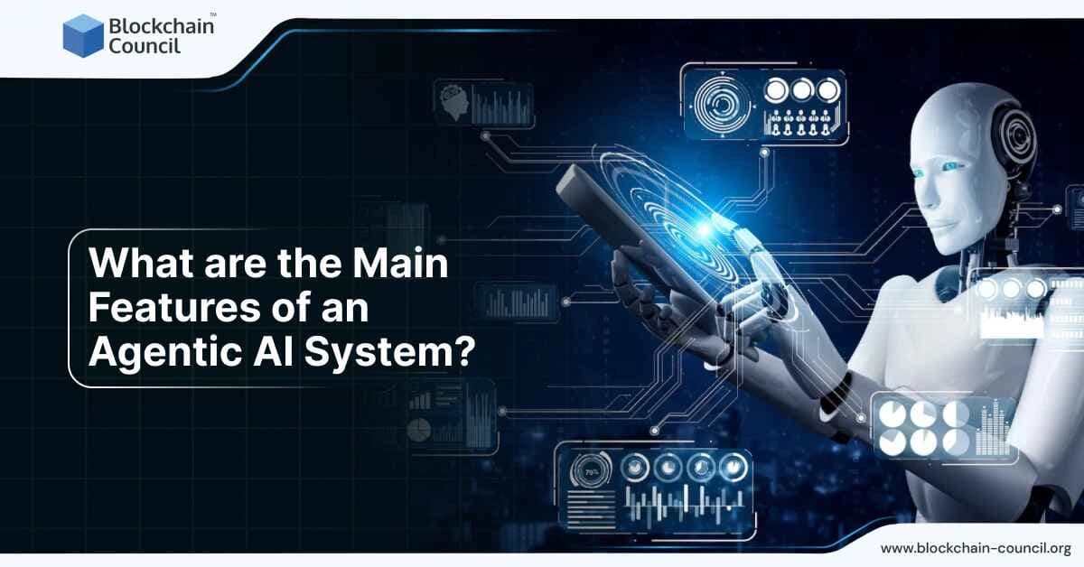 What are the Main Features of an Agentic AI System?