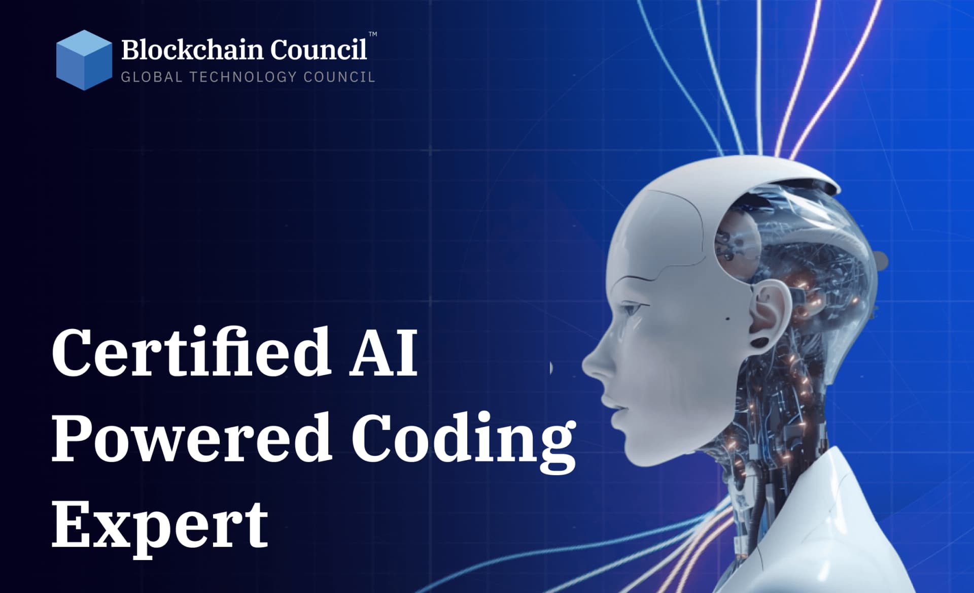 Certified AI Powered Coding Expert