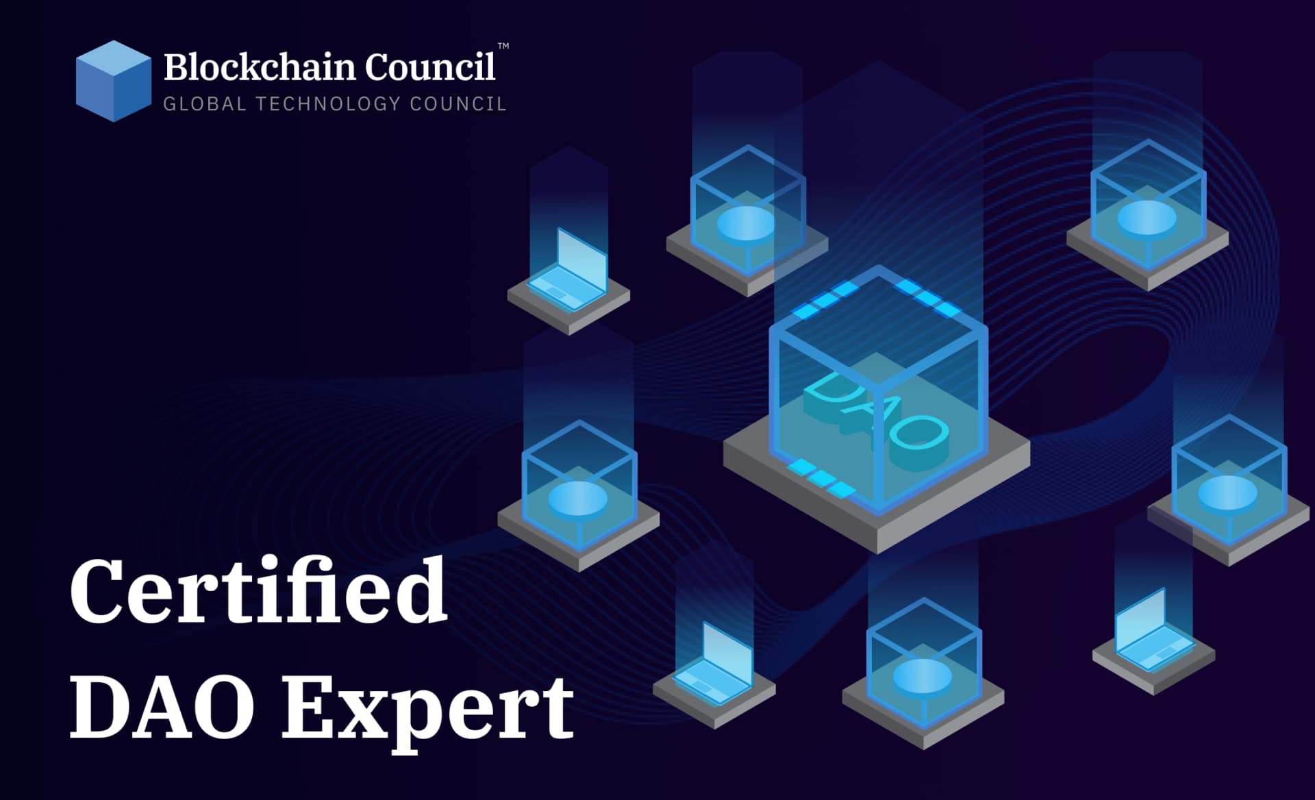 Certified DAO Expert