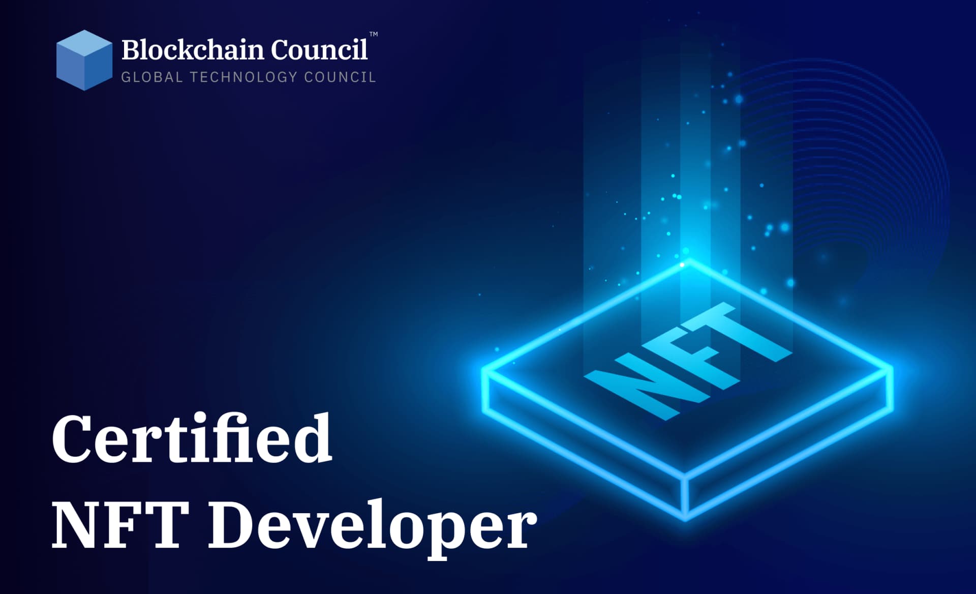 Certified NFT Developer