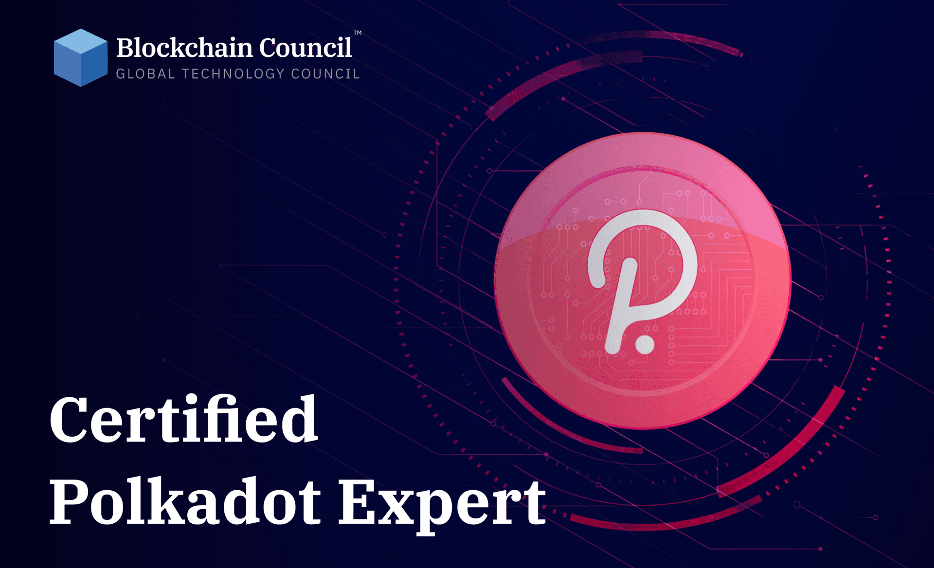 Certified Polkadot Expert™