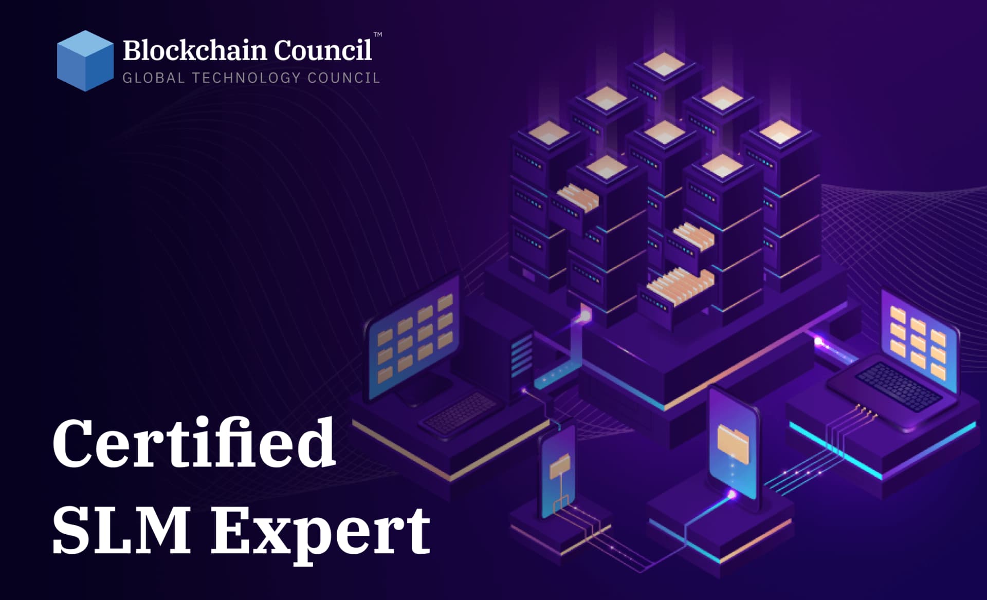 Certified SLM Expert