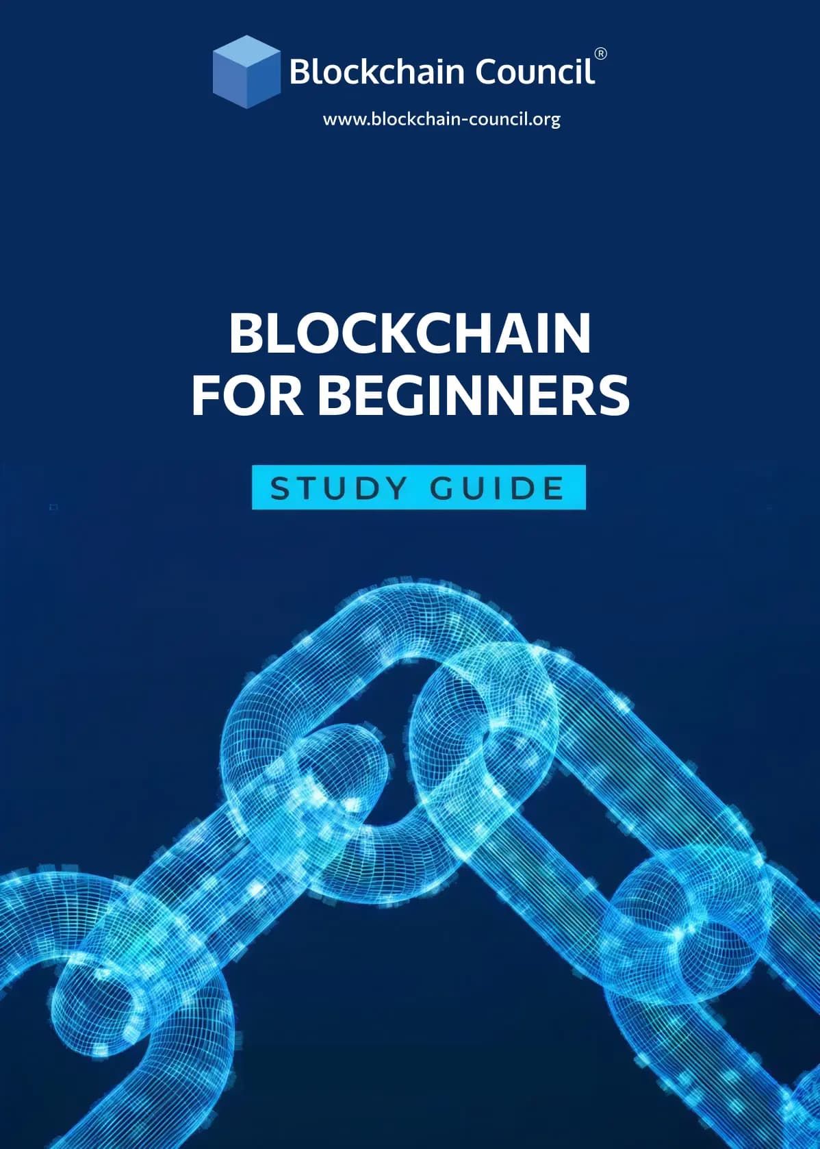 Blockchain For Beginners E-Book