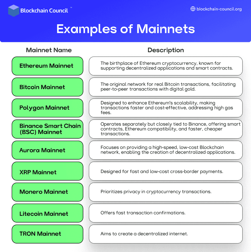 Main Net Digital Mainnet - Blockchain Council