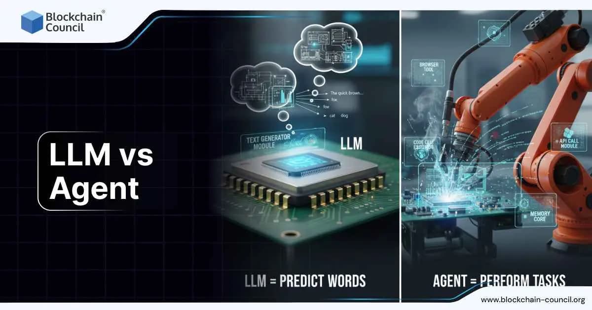 LLM vs Agent