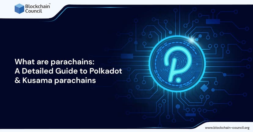 Parasparam Model Chain What are Parachains: A Detailed Guide to Polkadot & Kusama Parachains