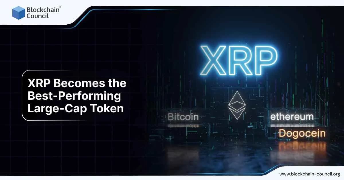 XRP Becomes the Best-Performing Large-Cap Token