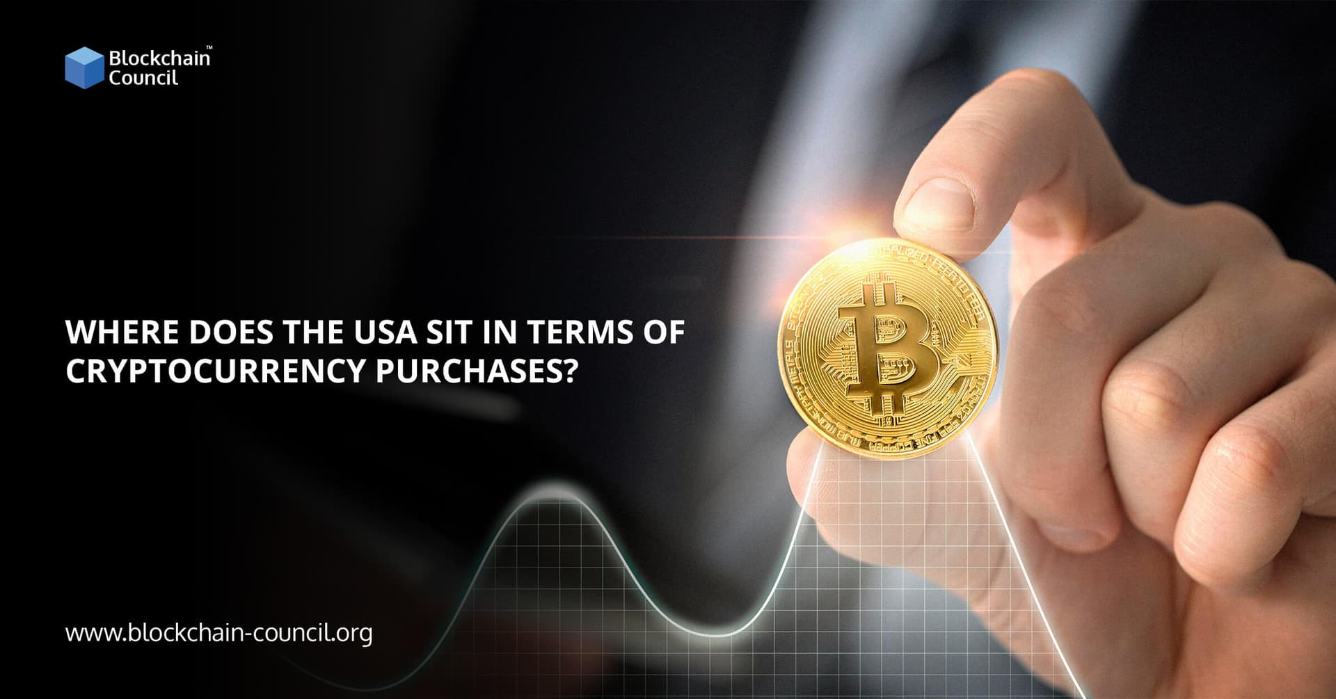 Where does the USA sit in terms of cryptocurrency purchases