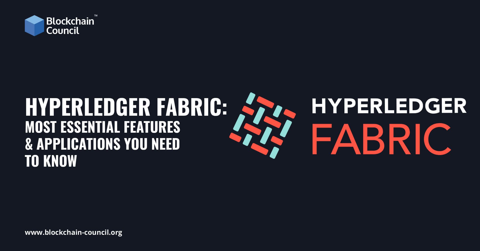 Hyperledger Fabric Most Essential Features & Applications You Need to Know (1)