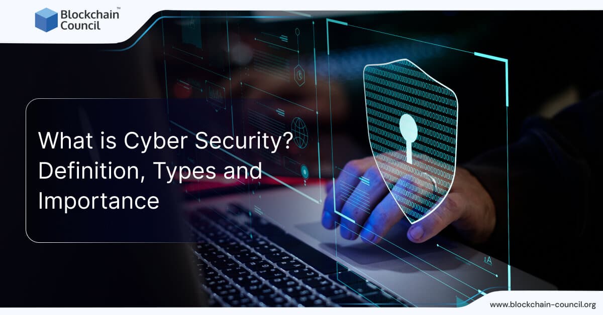 What is Cyber Security? Definition, Types and Importance