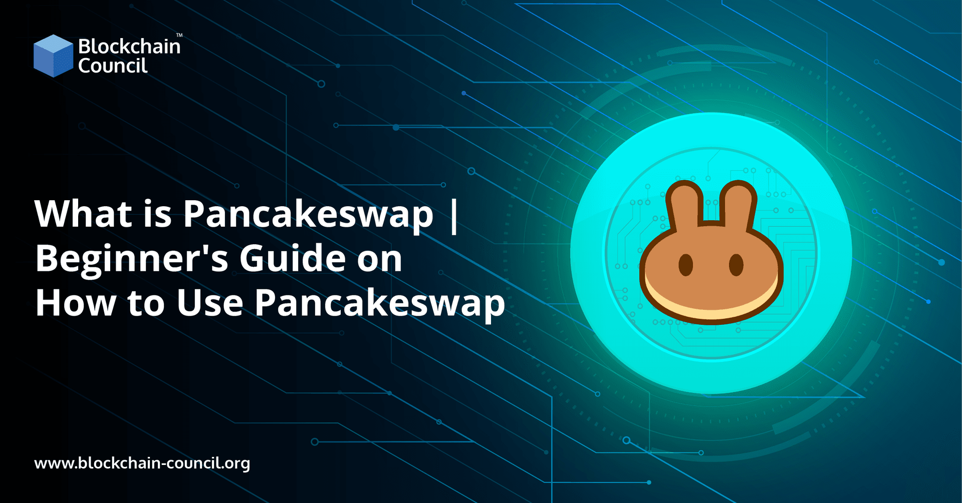 What is Pancakeswap Beginner's Guide on How to Use Pancakeswap