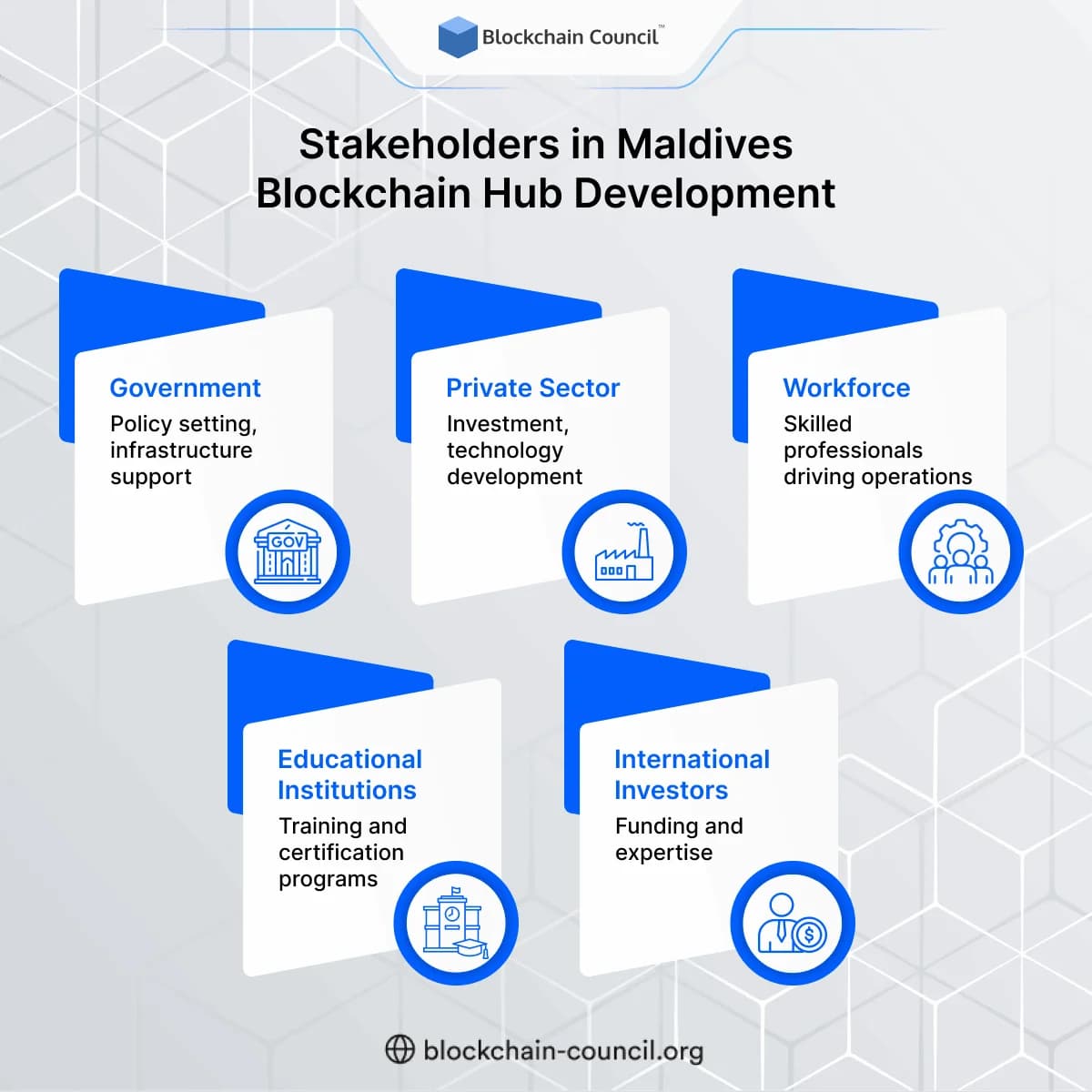 Stakeholders in Maldives Blockchain Hub Development