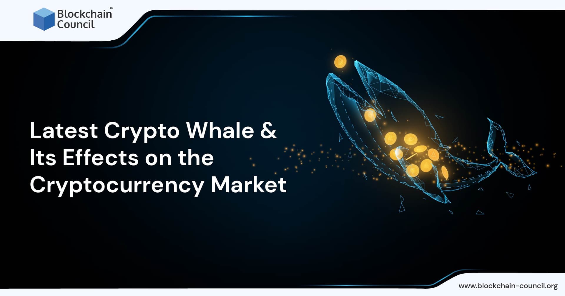 Latest Crypto Whale & Its Effects on the Cryptocurrency Market-01