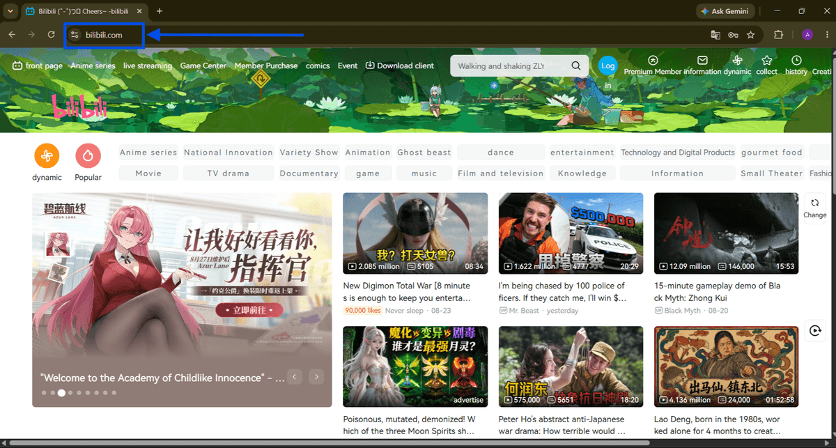 Bilibili homepage with the site address highlighted.
