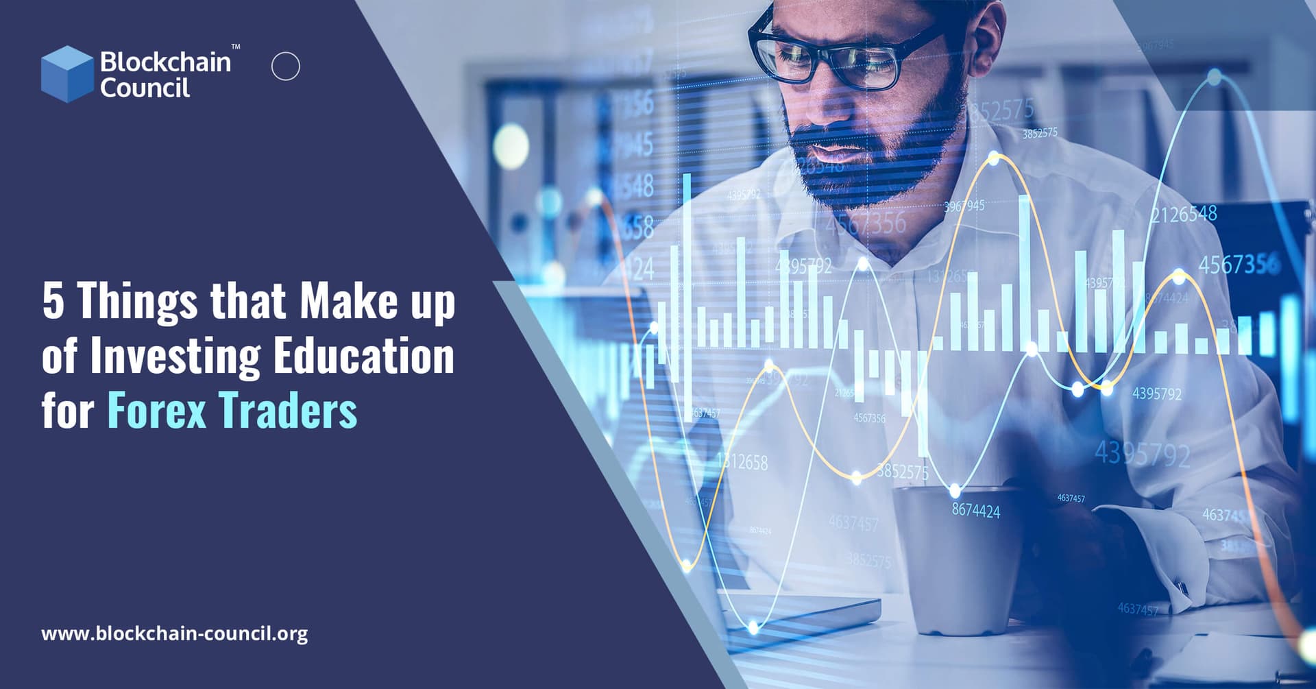 5 Things that Make up of Investing Education for Forex Traders