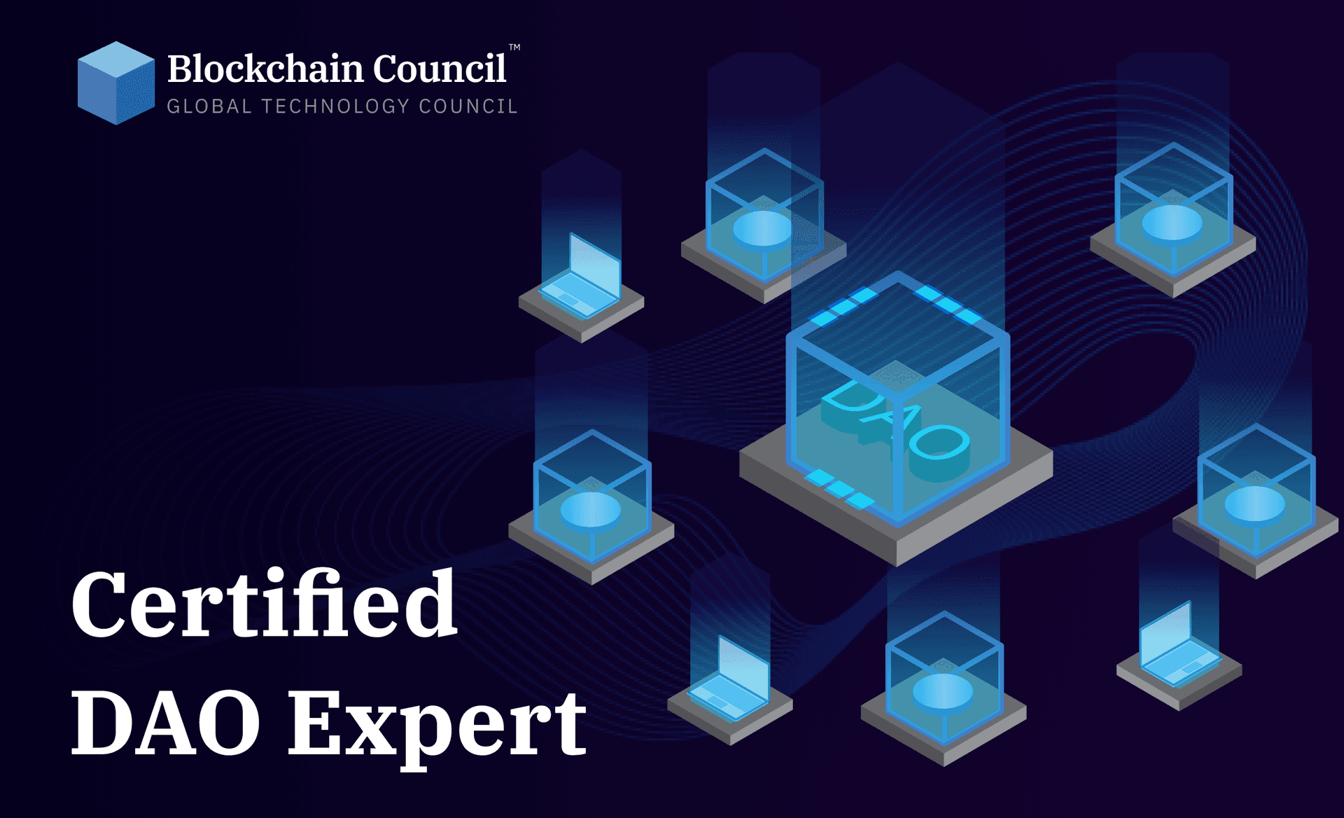 Certified DAO Expert