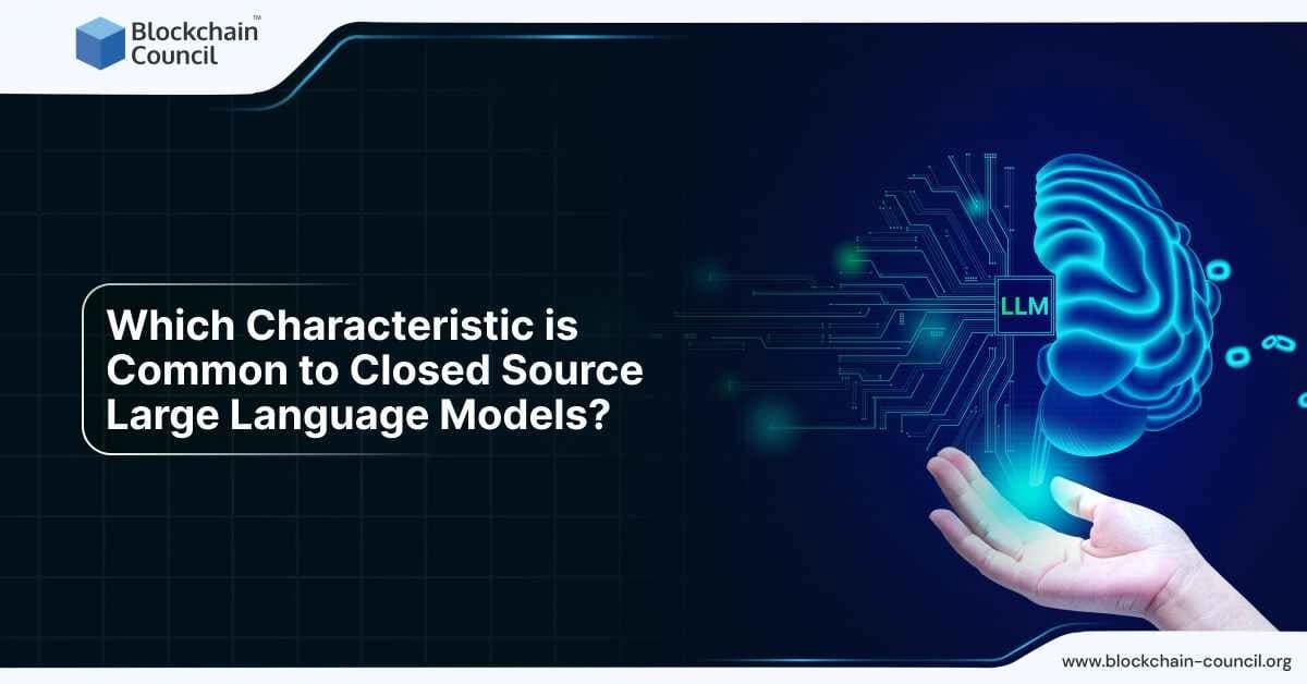 Which Characteristic is Common to Closed Source Large Language Models?