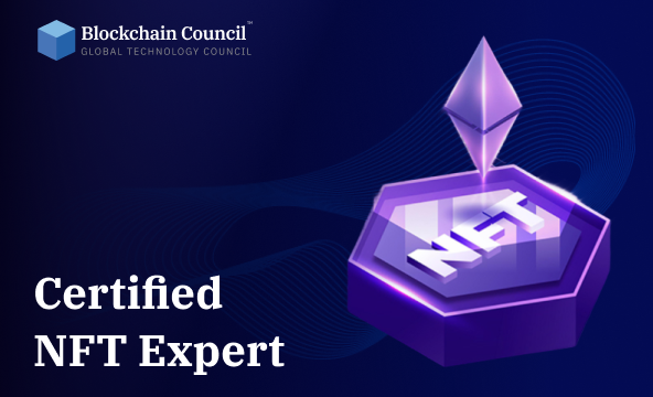 Certified NFT Expert certification preview