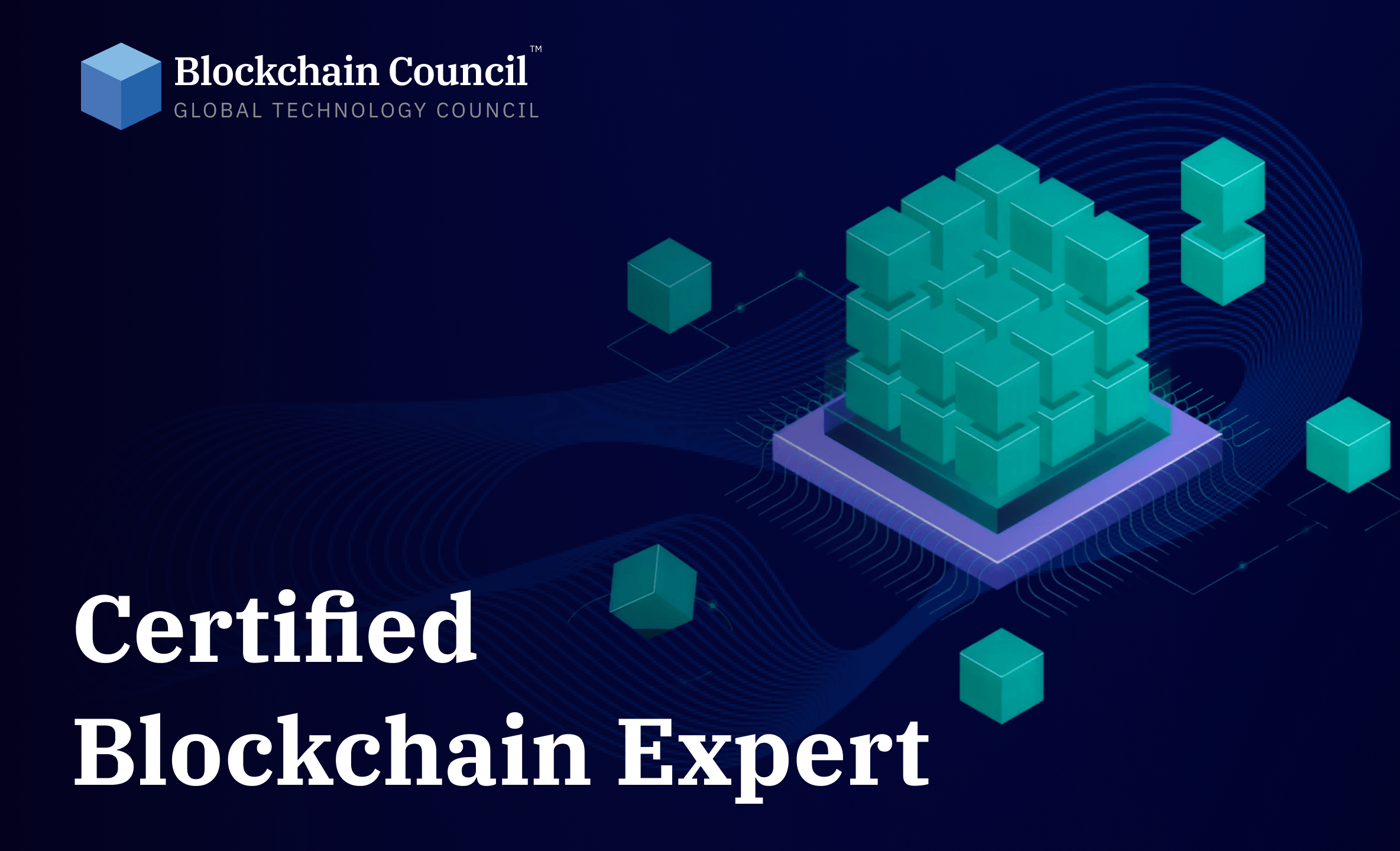 Certified Blockchain Expert Interactive Live Training hero video