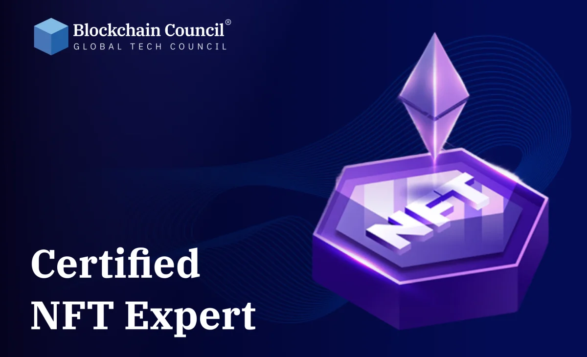 Professional holding blockchain certification
