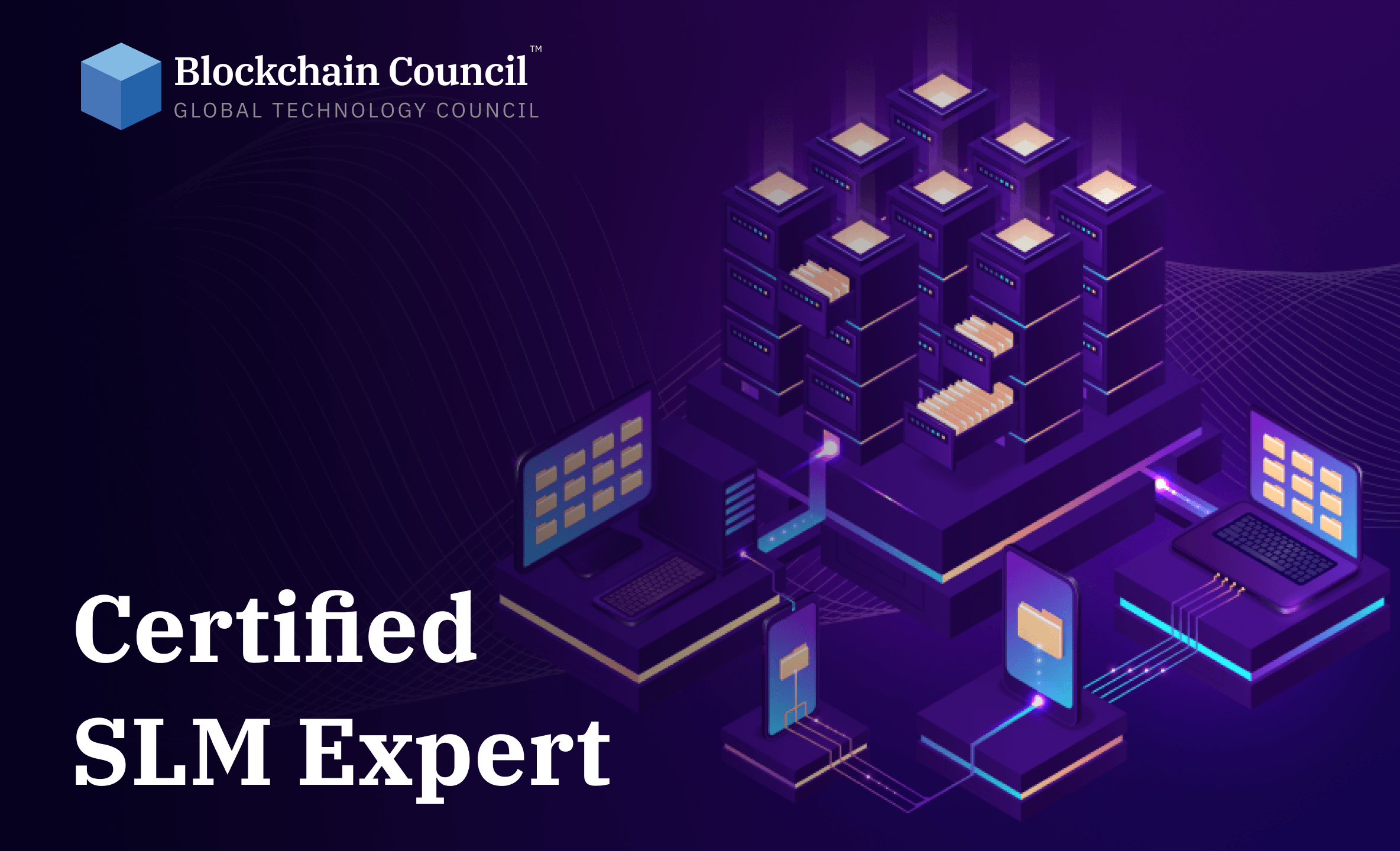 Certified SLM Expert certification preview