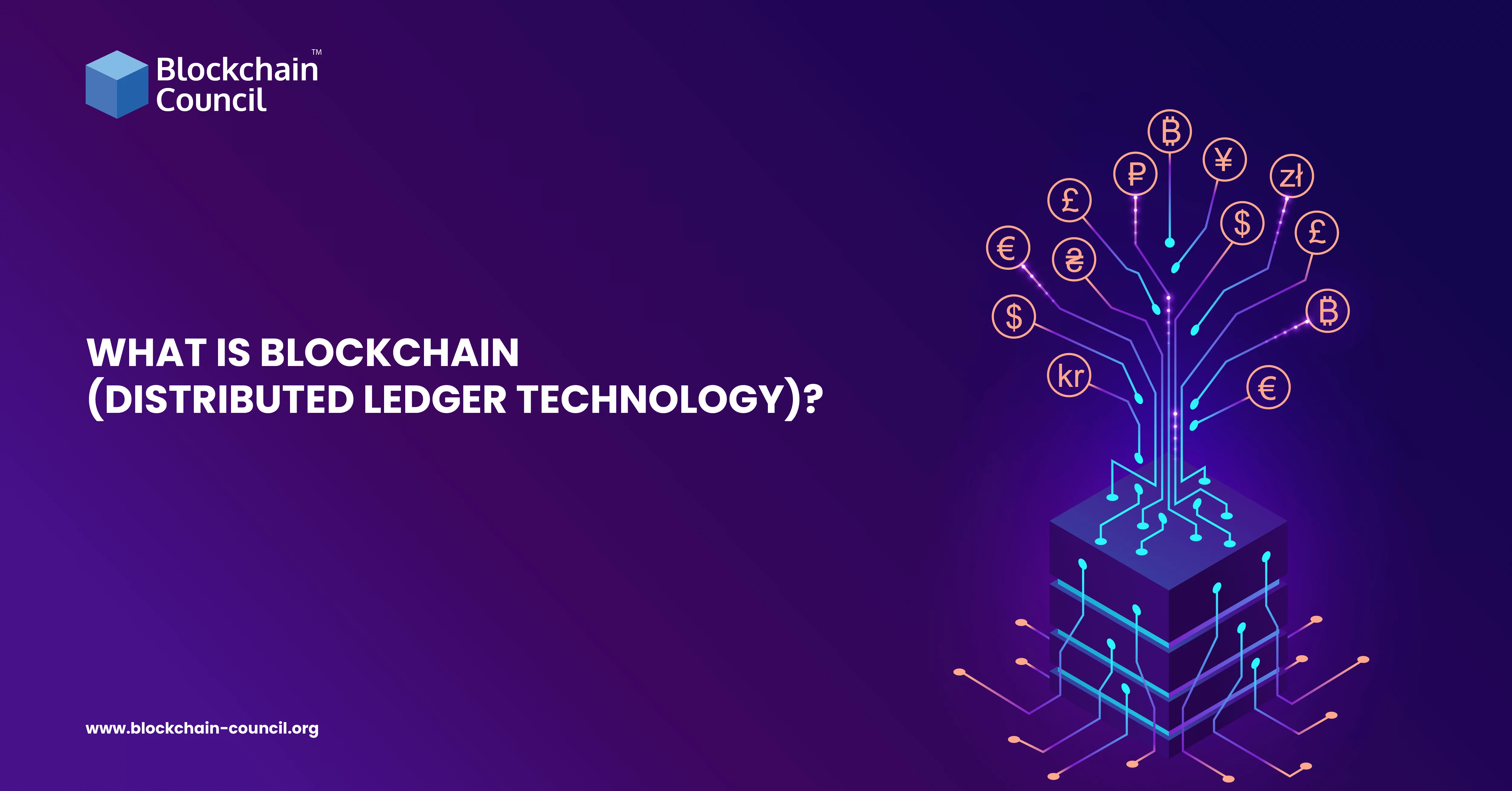 WHAT IS BLOCKCHAIN DISTRIBUTED LEDGER TECHNOLOGY