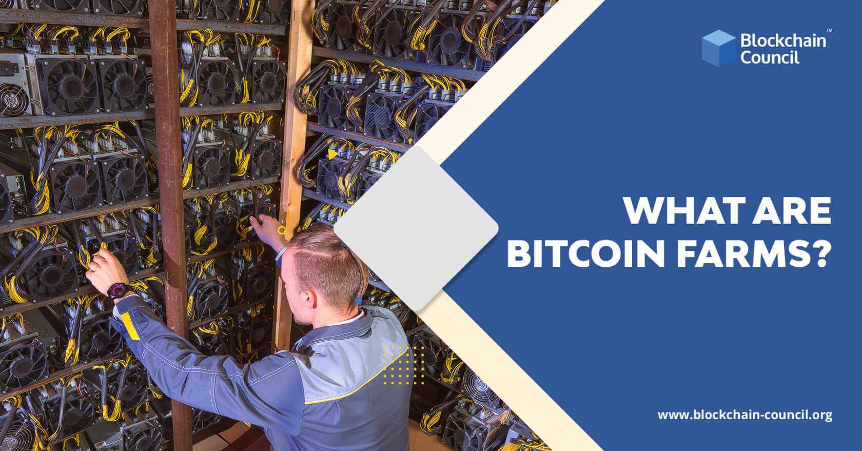 How Does Bitcoin Mining Work? What Is Crypto Mining?