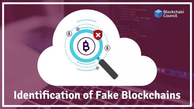 How to identify a fake Blockchain?