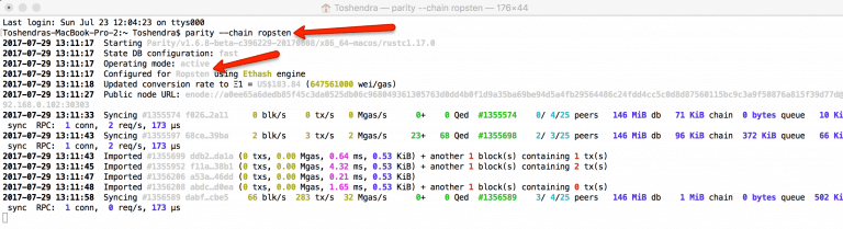 Launching Parity node in ropsten as Testnet for Ethereum client in few hours