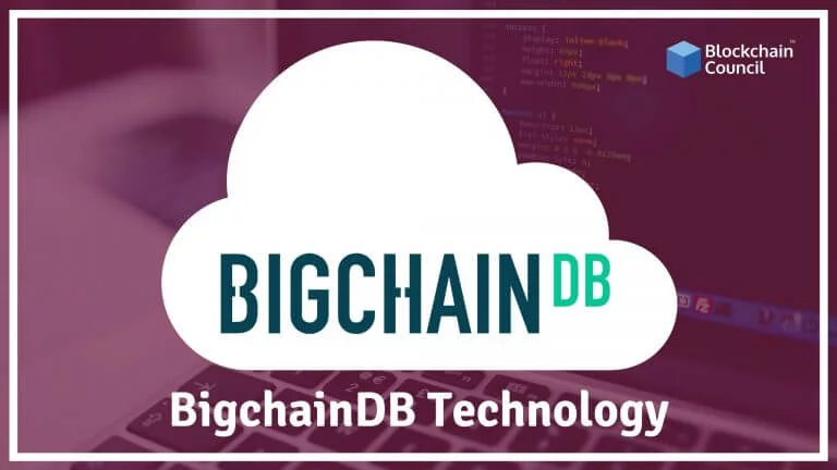 What Is BigchainDB Technology & How It Works?