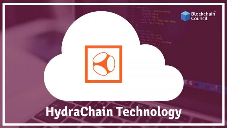What is HyderaChain Technology & How it Works?