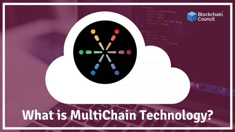 What Is MultiChain Technology?