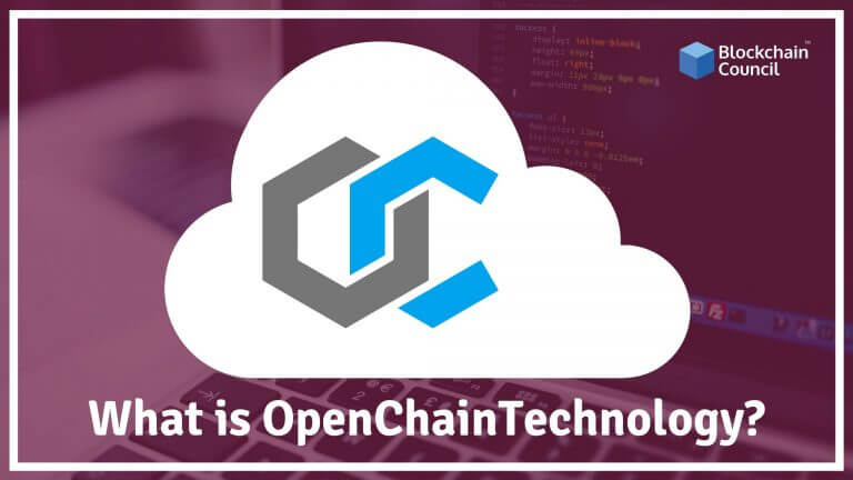 What Is OpenChain Technology?