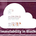 how-data-immutability-works-in-blockchain